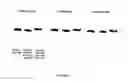 Fig. 07 - METHOF OF PRODUCING BIOACTIVE PAPER