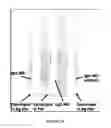 Fig. 16 - METHOF OF PRODUCING BIOACTIVE PAPER