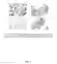 Fig. 05 - MUCOSAL GENE SIGNATURES