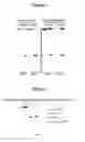 Fig. 06 - METHOD FOR DETERMINING METHYLATION AT CYTOSINE RESIDUES