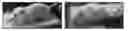 Fig. 01 - Compositions and methods for determining cancer stem cell self-renewal potential