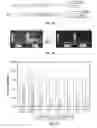 Fig. 05 - Compositions and methods for determining cancer stem cell self-renewal potential