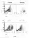 Fig. 07 - Compositions and methods for determining cancer stem cell self-renewal potential