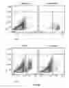 Fig. 23 - Compositions and methods for determining cancer stem cell self-renewal potential