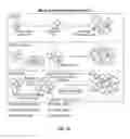 Fig. 26 - Compositions and methods for determining cancer stem cell self-renewal potential