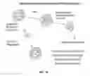 Fig. 27 - Compositions and methods for determining cancer stem cell self-renewal potential