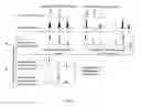 Fig. 03 - Detecting fetal chromosomal abnormalities using tandem single nucleotide polymorphisms
