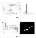 Fig. 02 - CONTROLLED MODIFICATION OF SEMICONDUCTOR NANOCRYSTALS