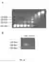 Fig. 09 - CONTROLLED MODIFICATION OF SEMICONDUCTOR NANOCRYSTALS