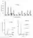 Fig. 09 - Bioreactor for quantification of headspace VOC content from cultures