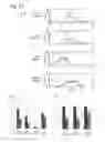 Fig. 22 - Fluorescent dye-labeled glucose bioprobe, synthesis method and usage thereof