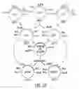 Fig. 07 - NON-SPLICING VARIANTS OF GP350/220