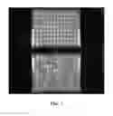 Fig. 03 - ENGINEERED MICROORGANISMS AND METHODS OF USE