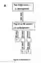 Fig. 02 - Polymerase compositions and uses