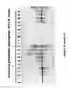 Fig. 08 - Polymerase compositions and uses
