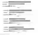 Fig. 02 - Novel Ecdysone Receptor-Based Inducible Gene Expression System