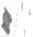 Fig. 07 - Optical sensor comprising diffraction gratings with functionalized pores and method of detecting analytes using the sensor