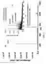 Fig. 08 - Method and apparatus for conversion of multiple analyte cation types to a single analyte anion type via ion/ion charge inversion