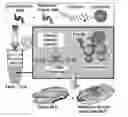 Fig. 01 - METHODS AND SYSTEMS FOR PRODUCING NANOLIPOPROTEIN PARTICLES