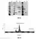 Fig. 09 - METHODS AND SYSTEMS FOR PRODUCING NANOLIPOPROTEIN PARTICLES