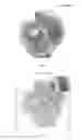 Fig. 03 - Determining an expression status of human epidermal growth factor receptor 2 (HER2) in a biological sample