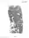 Fig. 05 - Determining an expression status of human epidermal growth factor receptor 2 (HER2) in a biological sample