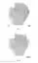 Fig. 08 - Determining an expression status of human epidermal growth factor receptor 2 (HER2) in a biological sample