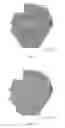 Fig. 09 - Determining an expression status of human epidermal growth factor receptor 2 (HER2) in a biological sample