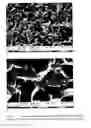 Fig. 04 - Method for texturing silicon surfaces and wafers thereof