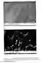 Fig. 08 - Method for texturing silicon surfaces and wafers thereof