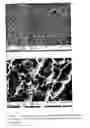Fig. 09 - Method for texturing silicon surfaces and wafers thereof