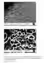Fig. 10 - Method for texturing silicon surfaces and wafers thereof