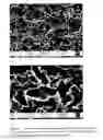 Fig. 11 - Method for texturing silicon surfaces and wafers thereof