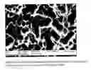 Fig. 12 - Method for texturing silicon surfaces and wafers thereof