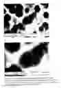 Fig. 19 - Method for texturing silicon surfaces and wafers thereof