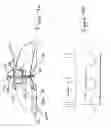 Fig. 07 - Directionally controllable flying vehicle and a propeller mechanism for accomplishing the same