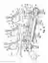 Fig. 09 - System and method for cleaning a carcass or carcass part of slaughtered poultry