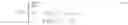 Fig. 19 - Robust linear precoder designs for multi-cell downlink transmission