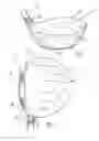 Fig. 02 - Clubhead with external hosel