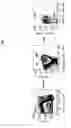 Fig. 02 - Cytokine receptors associated with myelogenous haematological proliferative disorders and uses thereof