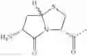 Fig. 85 - Peptides that block the binding of IgG to FcRn