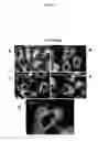 Fig. 08 - Compounds for the treatment of proliferative disorders