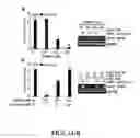 Fig. 02 - METHODS FOR TREATING INFLAMMATORY DISORDERS