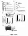 Fig. 04 - METHODS FOR TREATING INFLAMMATORY DISORDERS