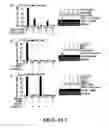 Fig. 05 - METHODS FOR TREATING INFLAMMATORY DISORDERS
