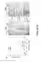 Fig. 09 - METHODS FOR TREATING INFLAMMATORY DISORDERS