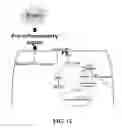 Fig. 13 - METHODS FOR TREATING INFLAMMATORY DISORDERS