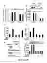 Fig. 17 - METHODS FOR TREATING INFLAMMATORY DISORDERS