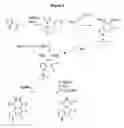 Fig. 07 - Multicyclic compounds and the use thereof