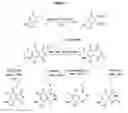 Fig. 08 - Multicyclic compounds and the use thereof